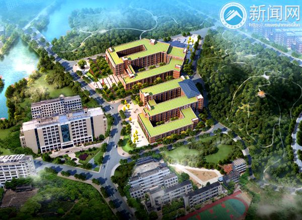 bevictor伟德官网