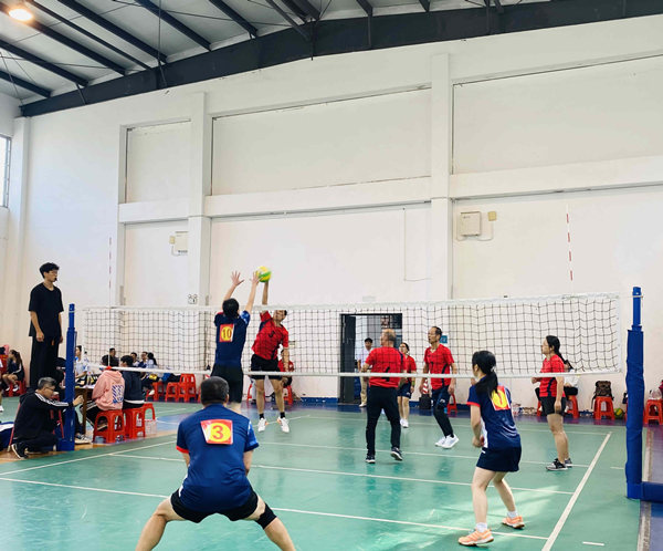 bevictor伟德官网