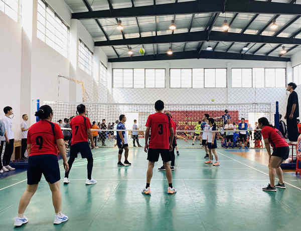 bevictor伟德官网