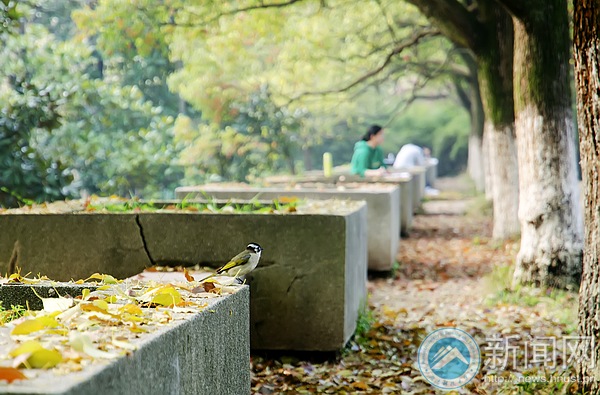 bevictor伟德官网